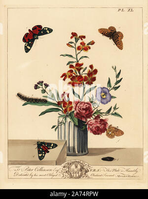 Scarlet Tiger Moth, Callimorpha dominula und Pearl grenzt Fritillaryschmetterling, Boloria euphrosyne. Papierkörbe Lithographie nach einer Illustration von Mose Harris von "Aurelian; eine natürliche Geschichte der englischen Motten und Schmetterlinge, die neue Edition von J.O. Westwood, von Henry Bohn, London, 1840 veröffentlicht bearbeitet werden. Stockfoto