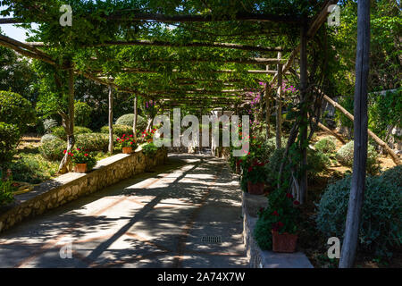 Malerische Fußweg unter einer Pergola in Capri, Mittelmeer, geschmückt mit Blumen, Italien Stockfoto