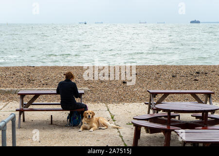Eine Frau sitzt mit ihrem Hund auf einer Bank am Meer Stockfoto