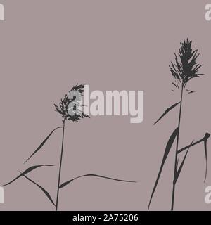 Silhouette der Reed Bush. Vector Illustration Stock Vektor