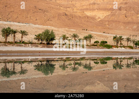 Reflexion der Berge und Palmen im Wasser des Toten Meeres bei Sonnenaufgang. Israel Stockfoto