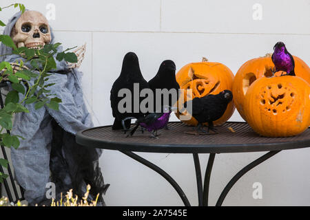 Windsor, Großbritannien. 30. Oktober, 2019. Halloween Kürbisse, Krähen und ein Skelett außerhalb eines Hauses in der Bereitschaft für junge Trick or Treaters. Credit: Mark Kerrison/Alamy leben Nachrichten Stockfoto