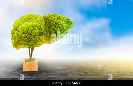 Realistische Leber Bilder sind menschliche Grüner Baum Formen über Krankheiten und Zirrhose (Umwelt). Stockfoto
