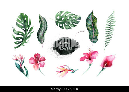Satz von hellen Aquarell tropische Blätter. Blätter und Zweige aus dem Dschungel. Stockfoto