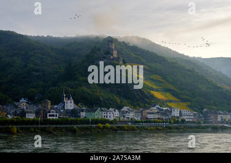 Vogelherde, die im Herbst über das Rheintal nach Süden wandern. Deutschland Stockfoto