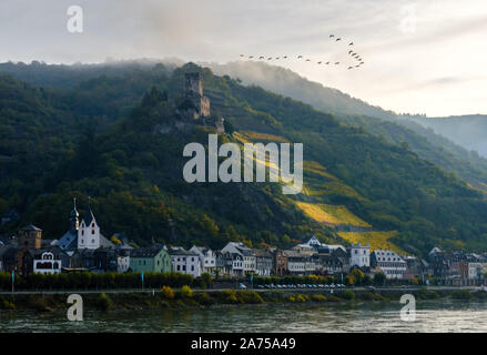 Vogelherde, die im Herbst über das Rheintal nach Süden wandern. Deutschland Stockfoto