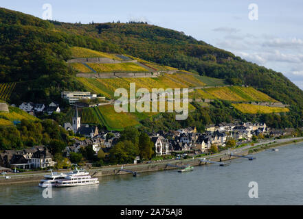 Terrassierten Weinberge im Herbst Assmannshausen, Rhein Stockfoto