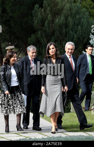 Madrid, Spanien; 30/10/2019. - LETIZIA leitet die Lieferung der International Friendship Award (IFA), begleitet von der amtierenden Minister für Verteidigung, Margarita Robles, der Direktor des IESE Campus in Madrid, José Luis Suárez und der Gründer der IFA Awards, Pedro Nueno. Für die Gelegenheit, die Königin Letizia hat einen MIDI-wolle Rock mit Prinz von Wales und Drucken Seite Spitzen vom Herbst - Winter Kollektion der letzten Saison von Massimo Dutti. foto: Juan Carlos Rojas/Picture Alliance | Verwendung weltweit gewählt Stockfoto