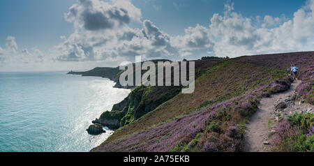 Plevenon, Bretagne/Frankreich - 20 Augsut 2019: Männer Wandern auf einem Weg durch violette Heide Wiesen an der Atlantikküste Stockfoto