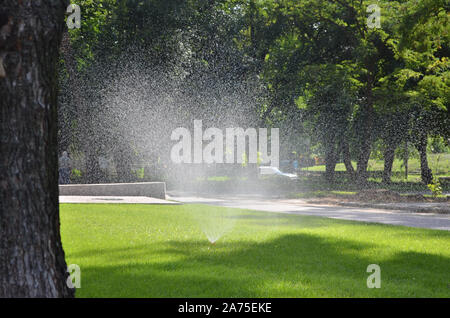 Brunnen im Park Gras Stockfoto