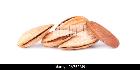 Aprikose Nüsse auf weißem Hintergrund. Mandeln in der Schale. Stockfoto