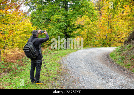 Ein Mann nimmt Bilder mit seinem Smartphone in einem Wald im Herbst. Stockfoto