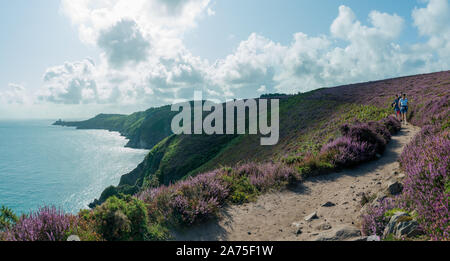 Plevenon, Bretagne/Frankreich - 20 Augsut 2019: Familie Wandern auf einem Weg durch violette Heide Wiesen an der Atlantikküste Stockfoto