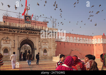 Indien, Rajasthan, Deshnok, Karni Mata Tempel (Rattentempel) Stockfoto