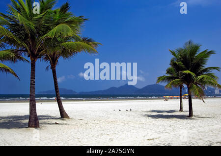 Pergola, Gärten der Strand von Santos, Strand von Boqueirão, Santos, São Paulo, Brasilien Stockfoto