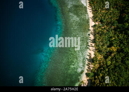 Palawan, Philippinen, El Nido. Antenne drone top down Sicht auf einem abgelegenen einsamen tropischen Strand mit Kokospalmen und Ozean Lagune mit Coral Stockfoto