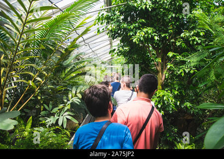 Belgrad, Serbien - Juni 26, 2019: Kinder besuchen den botanischen Garten "Jevremovac" in Belgrad. Stockfoto