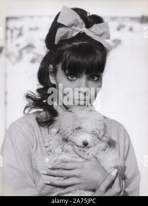 Daliah Lavi in dem Film 'Das schwarz weiß rote Himmelbett', Deutschland 1962. Israelische Schauspielerin und Sängerin Daliah Lavi im Film 'Das schwarz weiss rote Himmelbett", Deutschland 1962. Stockfoto