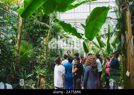 Belgrad, Serbien - Juni 26, 2019: Kinder besuchen den botanischen Garten "Jevremovac" in Belgrad. Stockfoto