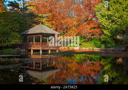 Pavillon im Japanischen Garten in Hatley Castle im Herbst - Colwood, British Columbia, Kanada. Stockfoto