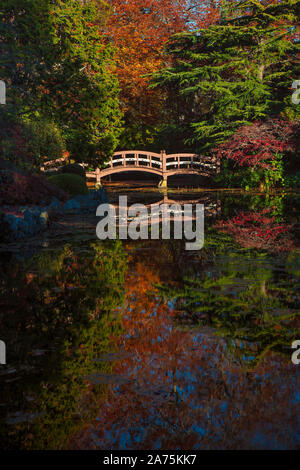 Hölzerne Brücke im Japanischen Garten in Hatley Castle im Herbst - Colwood, British Columbia, Kanada. Stockfoto