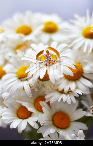 Trauringe der Bräutigam und Braut liegen auf Blumen Gänseblümchen Stockfoto