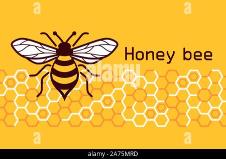 Honey Bee Vektor Bild. Vektor Bild einer Biene mit Waben. Stock Vektor