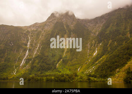 DOUBTFUL SOUND CRUISE, NEUSEELAND Stockfoto