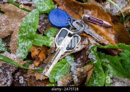 Verlorene Schlüssel liegen im Herbst Gras bedeckt mit einer dünnen Schicht nassen Schnee Stockfoto