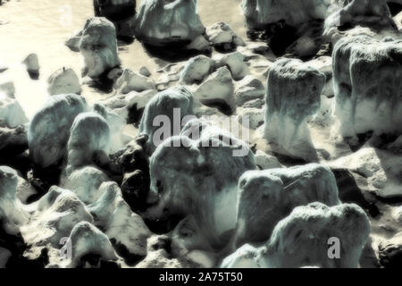 Infrarotbild - offener Algen überstieg Kreide Felsen bei Ebbe (in der Nähe von dumpton Lücke) - Resort broadstairs - Isle of Thanet - Kent - England - Großbritannien Stockfoto