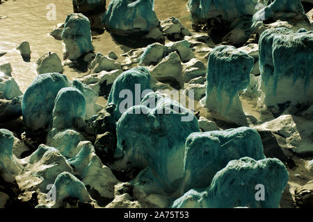 Infrarotbild - offener Algen überstieg Kreide Felsen bei Ebbe (in der Nähe von dumpton Lücke) - Resort broadstairs - Isle of Thanet - Kent - England - Großbritannien Stockfoto