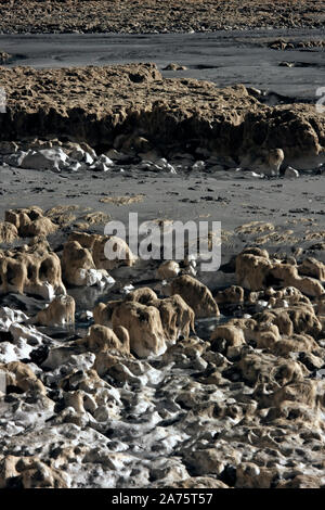 Infrarotbild - offener Algen überstieg Kreide Felsen bei Ebbe (in der Nähe von dumpton Lücke) - Resort broadstairs - Isle of Thanet - Kent - England - Großbritannien Stockfoto