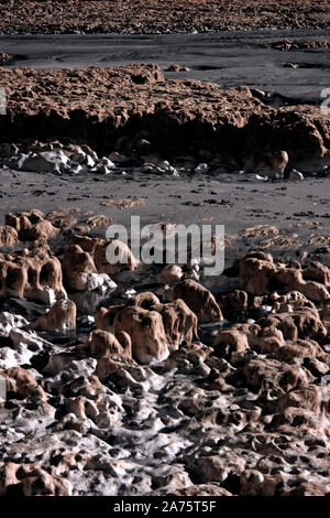 Infrarotbild - offener Algen überstieg Kreide Felsen bei Ebbe (in der Nähe von dumpton Lücke) - Resort broadstairs - Isle of Thanet - Kent - England - Großbritannien Stockfoto