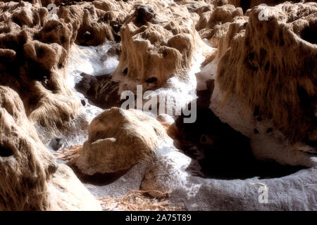 Infrarotbild - offener Algen überstieg Kreide Felsen bei Ebbe (in der Nähe von dumpton Lücke) - Resort broadstairs - Isle of Thanet - Kent - England - Großbritannien Stockfoto