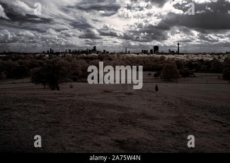 Infrarote Bild - Ansicht von Primrose Hill, London - England - Großbritannien Stockfoto