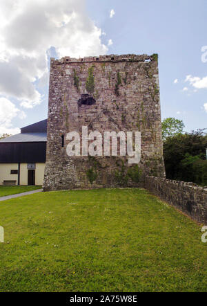 Stein traditionelle Irische Tower House in Tuamgraney. Teilweise zerstört und verlassen. In der Grafschaft Clare, Irland. Stockfoto