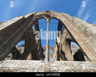 TINTERN, Großbritannien - ca. September 2019: Tintern Abbey (Abaty Tyndyrn in Walisisch) Ruinen Stockfoto