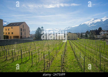 Die schönen Weinberge außerhalb der Keller des Fürsten von Liechtenstein Weingut in Liechtenstein. Stockfoto