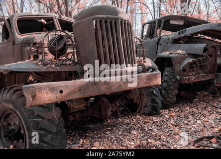 Zwei verlassene rusty Armee-Lkw im Wald von Tschernobyl in der Ukraine Stockfoto