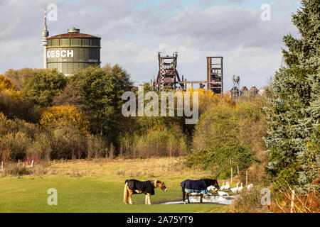 Blick aus Dortmund-Hörde, Pferdekoppel, auf der ehemaligen Hoesch Stahlwerk Phoenix-West, Gasometer, Hochöfen, Florian Turm an der Rückseite Links, Te Stockfoto