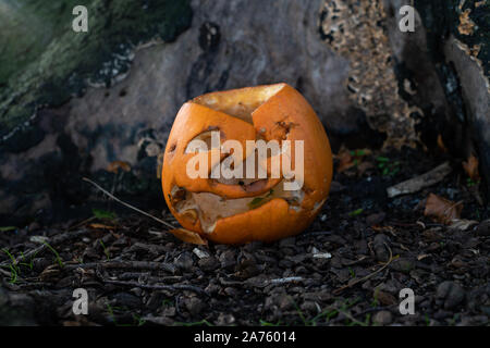 Ein Halloween-Kürbis. Stockfoto