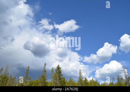 SpätsoFrühling im Yellowstone National Park: Wolkenüberfluteter Himmel über dem Pilzgeysir im Back Basin des Norris Geyser Basin Stockfoto