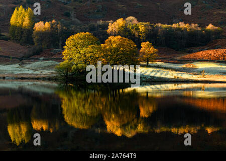 Dramatische am frühen Morgen herbst Reflexionen über Rydal Wasser Stockfoto