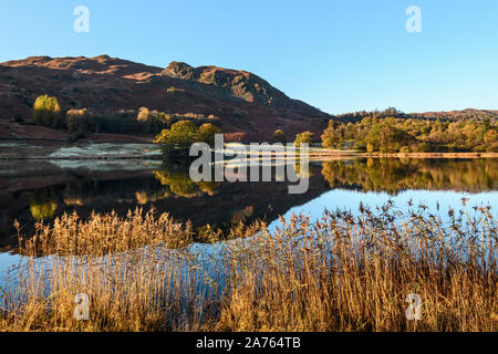 In Rydal Wasser in Richtung Loughrigg auf einem herrlichen Herbstmorgen Stockfoto