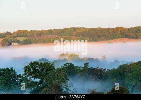 Frühen Morgennebel bei Sonnenaufgang über das abbotswood Immobilien im Herbst. Verstauen auf der Wold, Cotswolds, Gloucestershire, England Stockfoto
