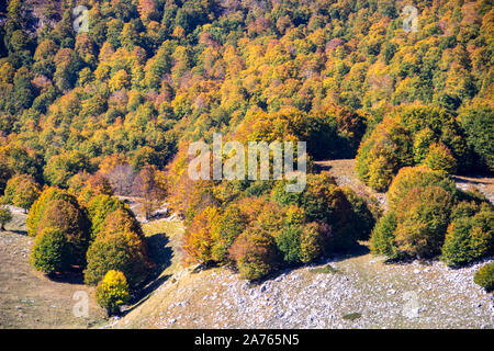 Sonnigen Tal im Nationalpark Abruzzen im Herbst, Italien Stockfoto