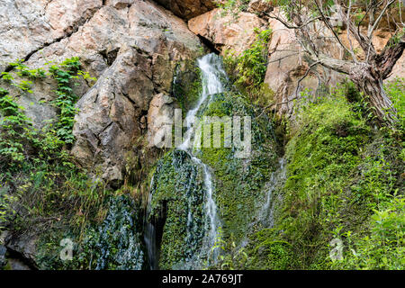 Wasserfall in Serbien, in der Nähe der Wasserfall blederije, fliesst das Wasser aus dem Felsen und fließt über das grüne Moos Stockfoto