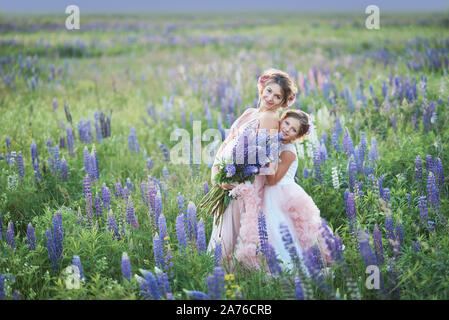 Mutter und Tochter sammeln Lupin Blumen im schönen Feld auf den Sonnenuntergang. Schöne Mädchen in der violetten Kleid mit einer Lupine bei Sonnenuntergang auf dem Feld. Die Stockfoto