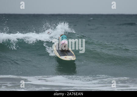 11. jährlichen Surf City Surf Dog Wettbewerb bei Huntington Hundestrand in Huntington Beach, Kalifornien am 28. September 2019 Mit: Atmosphäre, wo: Huntington Beach, Kalifornien, USA, wenn: 28 Sep 2019 Credit: Sheri Determan/WENN.com Stockfoto