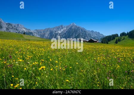 Walder-Alm, dahinter Karwendelgebirge, Gnadenwald, Tirol, Österreich Stockfoto